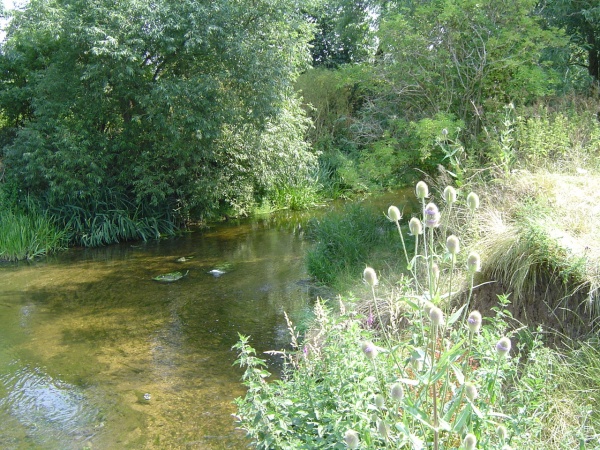 roding valley by peter house and carol murray.jpg